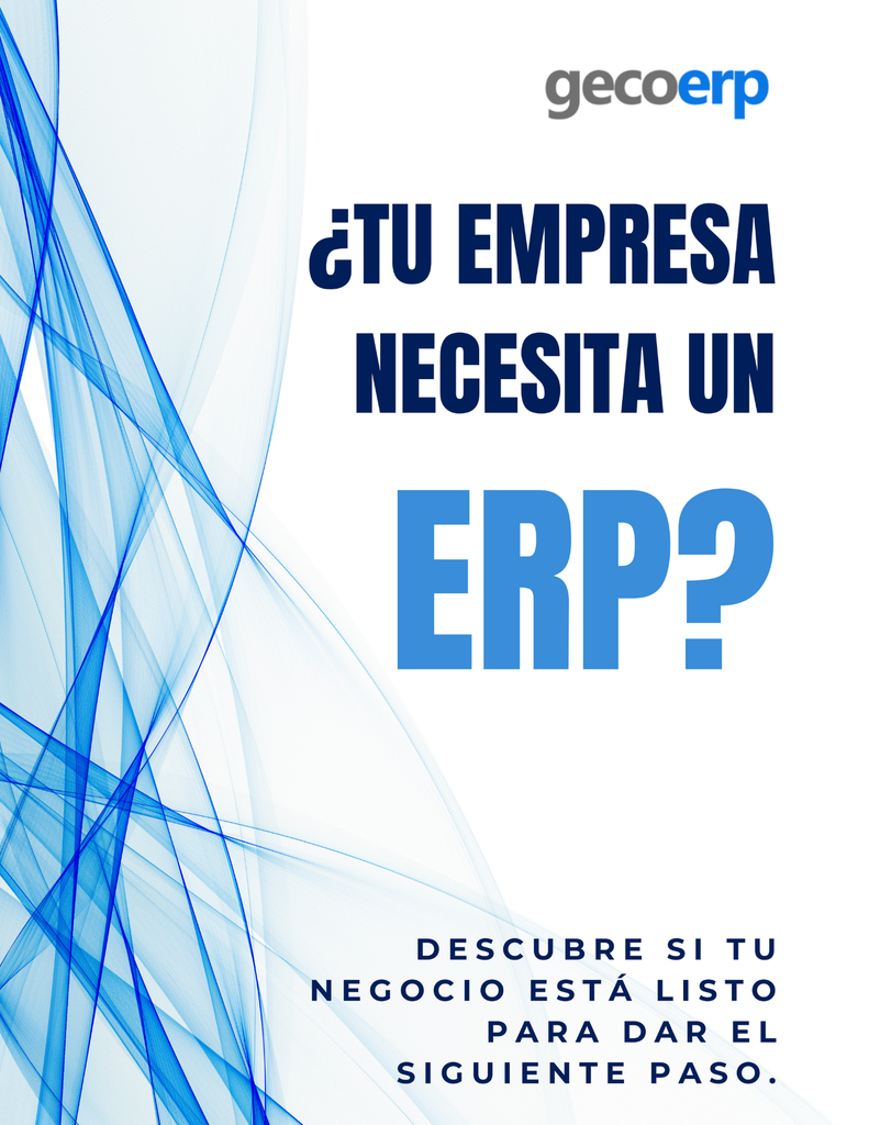 Guía: ¿Tu empresa necesita un ERP?
